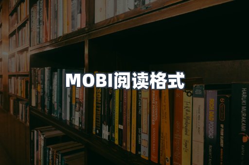 MOBI阅读格式